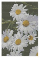 Schema Di Ricamo A Punto Croce Di Florashell - Grandi Margherite Bianche
