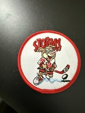 Carolina Hurricanes NHL Stormy 3 Patch New