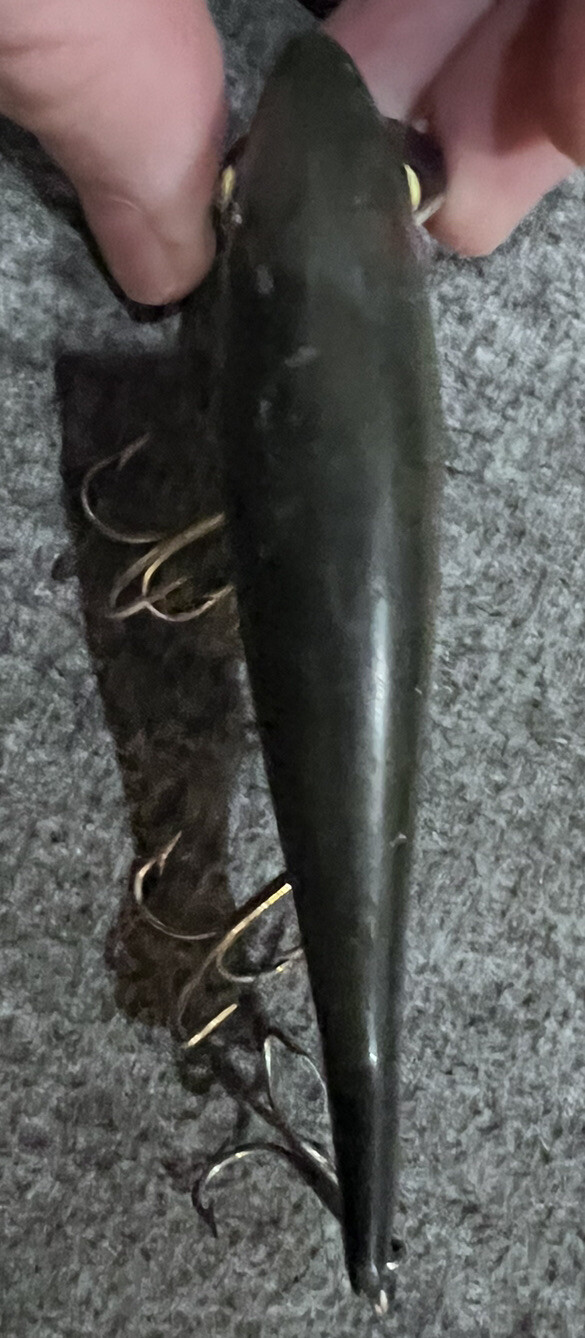 Picture 5 of 6