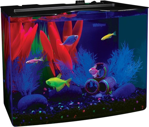 Aquarium Fish Tank Kits W/LED Lighting Filter Water Conditioner 5-gallon Desktop
