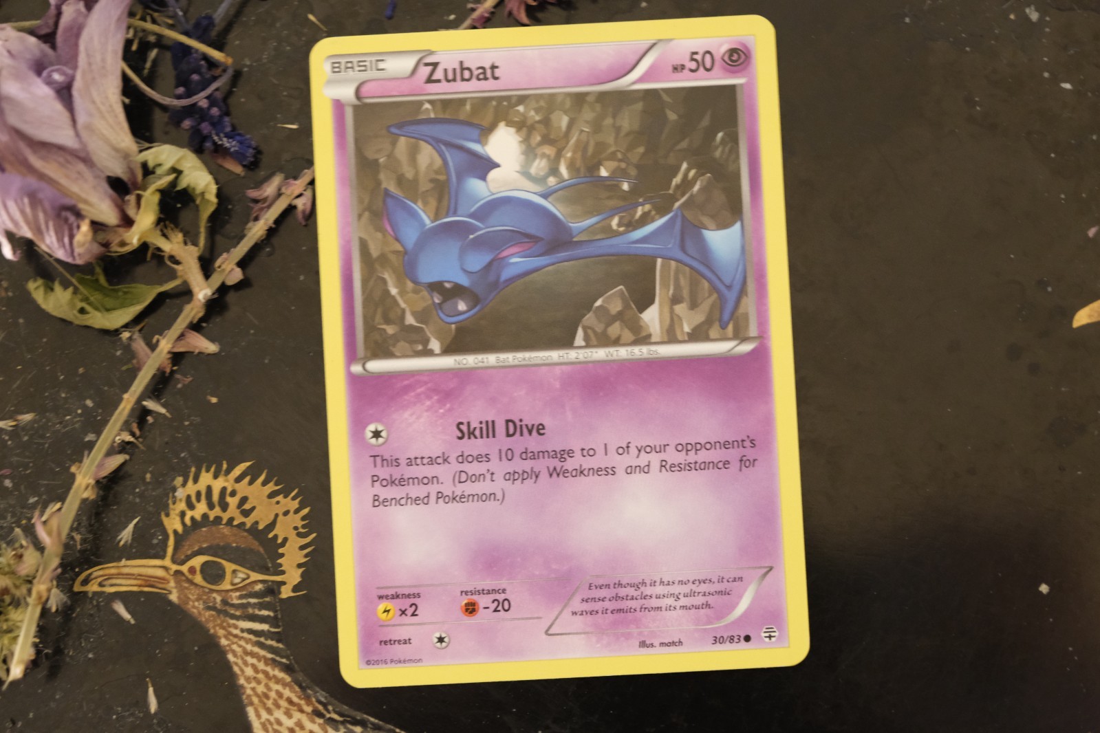 Zubat 30/83