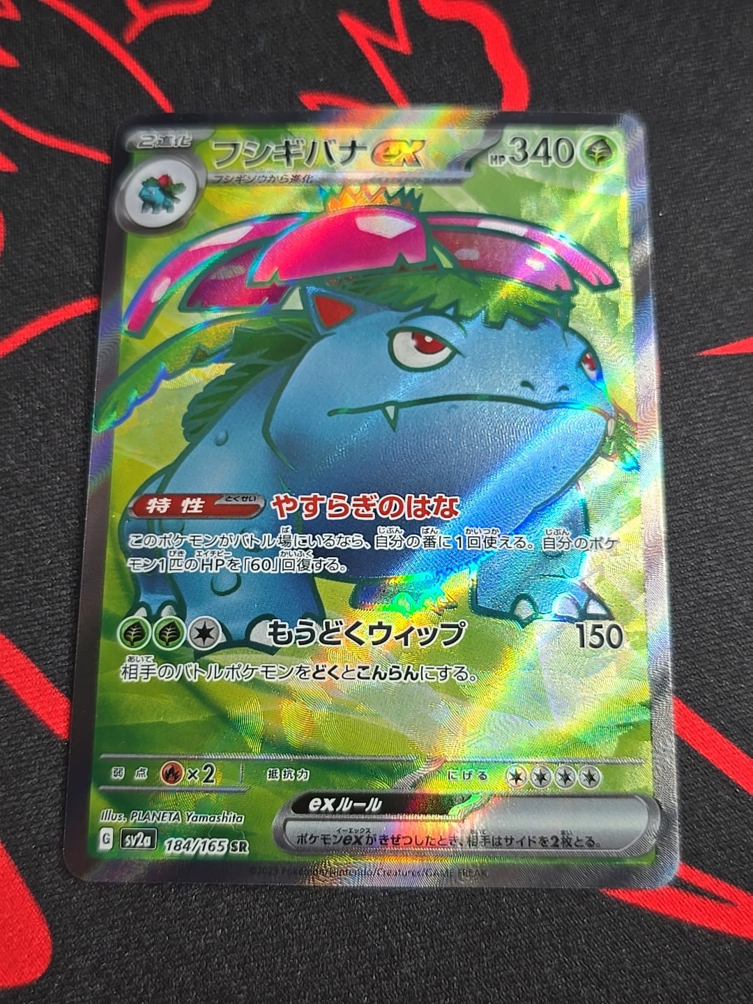 Venusaur ex # 184/165 Holo 151 Japanese - Pokemon Card TCG NM