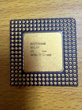 Intel i486DX-33 CPU A80486DX-33 SX729 Vintage