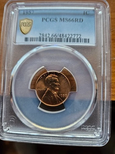 1957  LINCOLN CENT WHEAT PENNY PCGS MS66 RD GOLD SHIELD