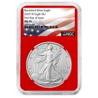 2025-W Burnished $1 American Silver Eagle NGC MS70 FDI Flag Label Red Core