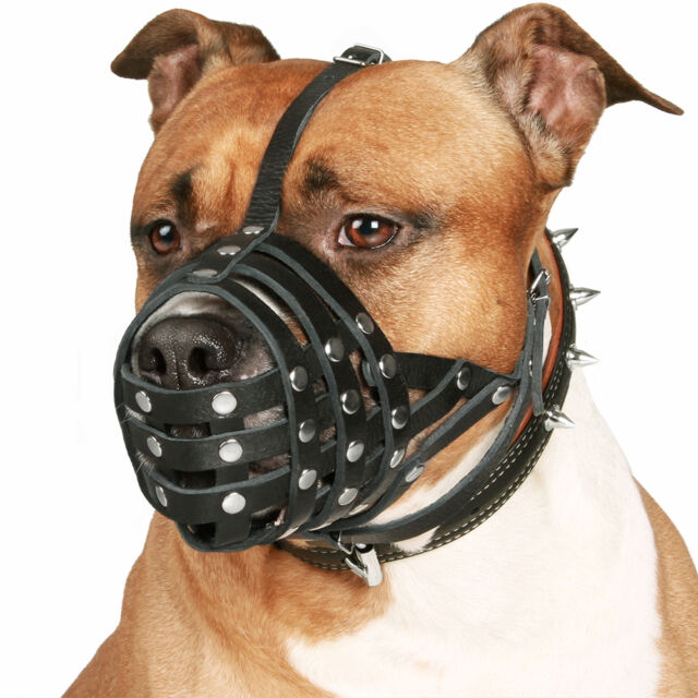 dog muzzles for sale