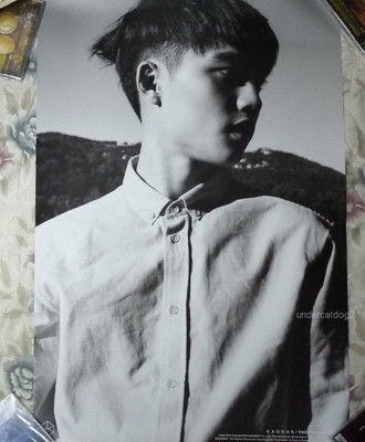 EXO Vol. 2 Exodus 2015 Taiwan Promo Poster (D.O. Ver.) EXO-K | eBay