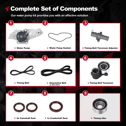 Timing Belt Water Pump Kit For Honda Accord Odyssey Pilot Ridgeline 3