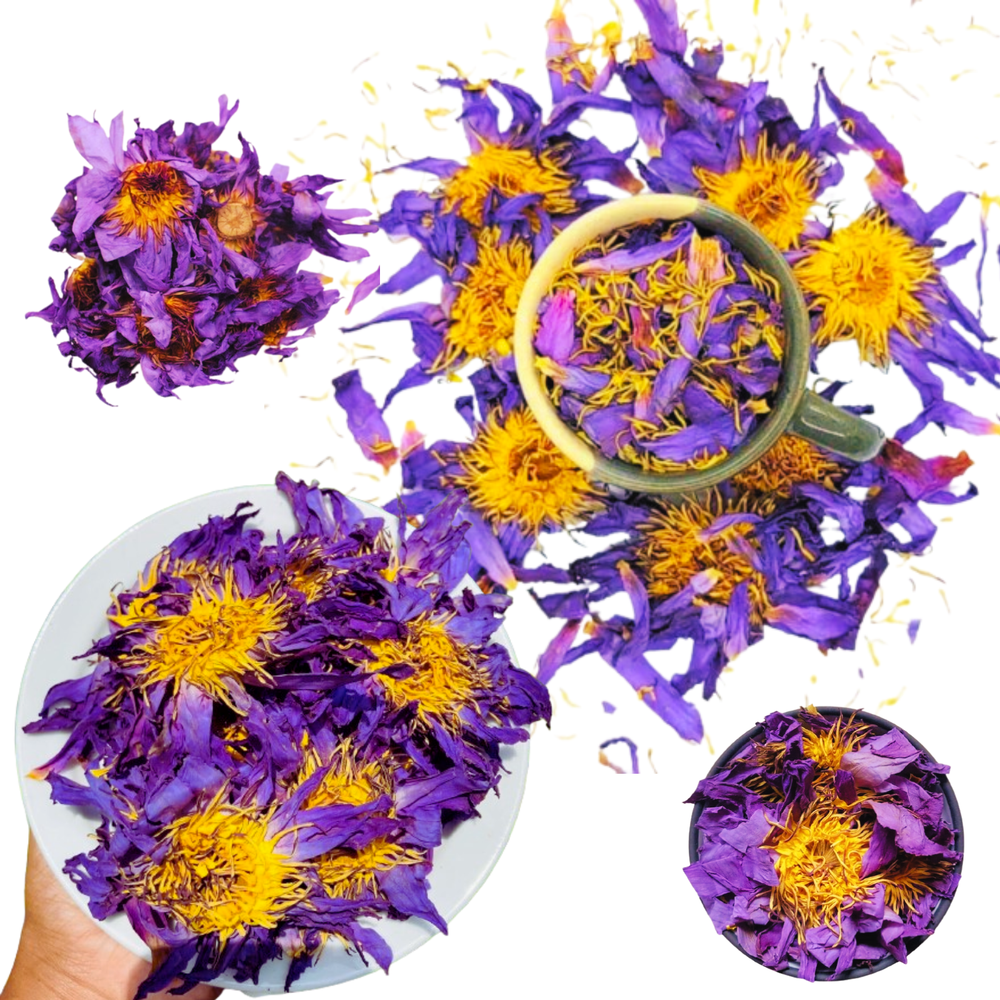 Dried Blue Lotus Flower Nymphaea Caerulea Natural Hand Picked Flower Herbal Tea