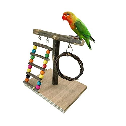 parrot stand wood