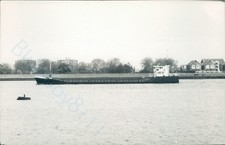 Cyprus Mv Anna Maria off woolwich 1991 ship photo