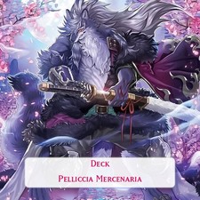 Yu Gi Oh Yugioh! Deck Mazzo Pelliccia Mercenaria Folgo Donner Rafale Beat Wiz