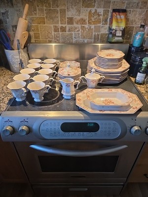 Independence Ironstone Castleton 46 Pc Dinnerware Set