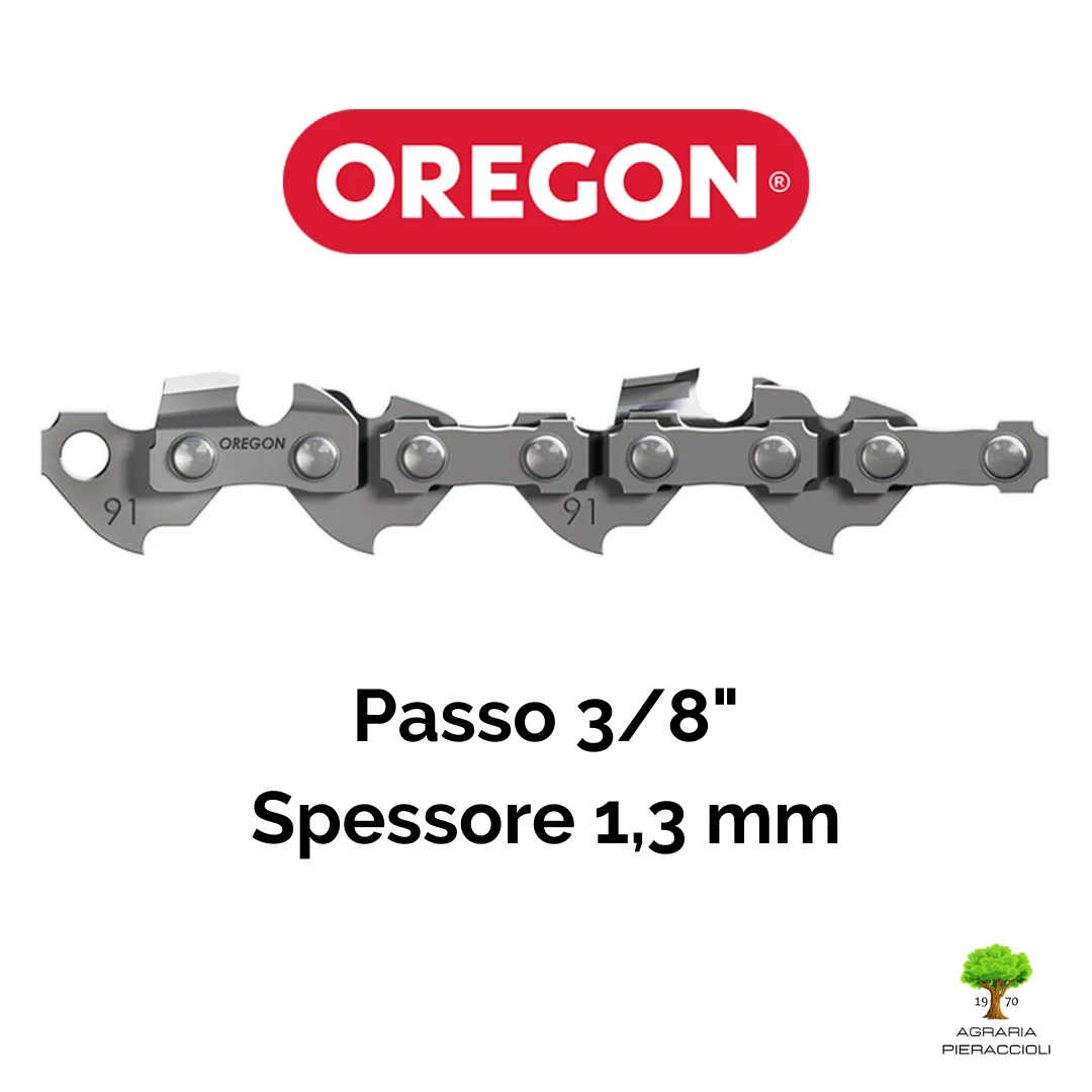 Barra / Lama 10 - 25 cm Catena Motosega 40 Maglie - Passo 91 OREGON