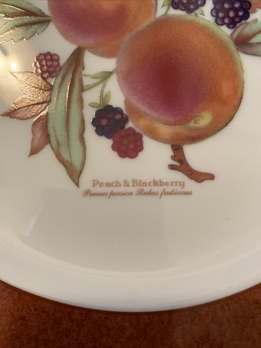 RARE 1961 ROYAL WORCESTER EVESHAM GOLD "PEACH & BLACKBERRY" DINNER PLATE ENGLAND - Picture 6 of 6