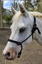 Handcrafted PONY Rope Halter BLack - Horse Riding Headstall Equine
