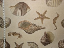 Brown seashell seahorse tan nautilus sea shell home decorating material BTY