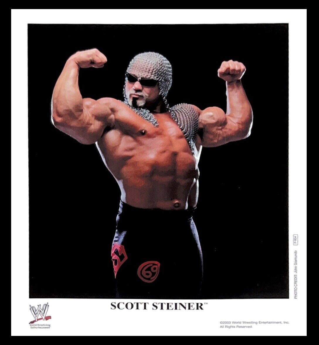 WWE SCOTT STEINER P-804 OFFICIAL LICENSED ORIGINAL 8X10 WWE SCOTT STEINER P-804 OFFICIAL LICENSED ORIGINAL 8X10