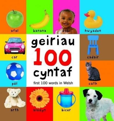 100 First Words in Welsh 100 Geiriau Cyntaf by Glyn and Gill Saunder 1905255322