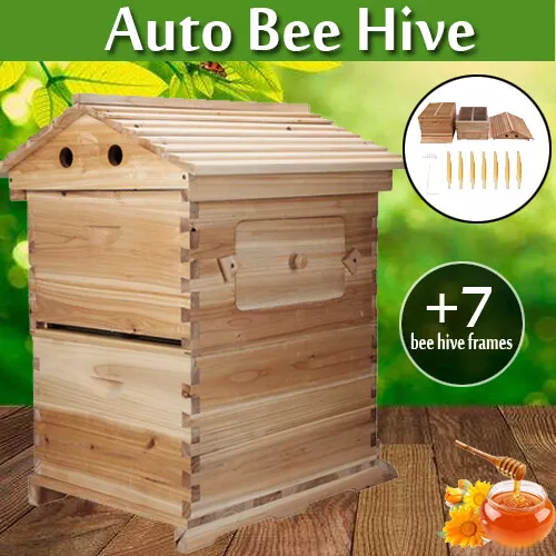 balanced beekeeping for everyone, natural beekeeping, top bar hive