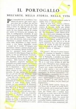 ZOLI Corrado - Il portogallo nell'arte, nella storia, nella vita.