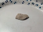 Dug Civil War era flattened .69 cal bullet