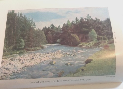 Life in Lakes & Rivers NN (No 15) 1974 - Picture 6 of 10