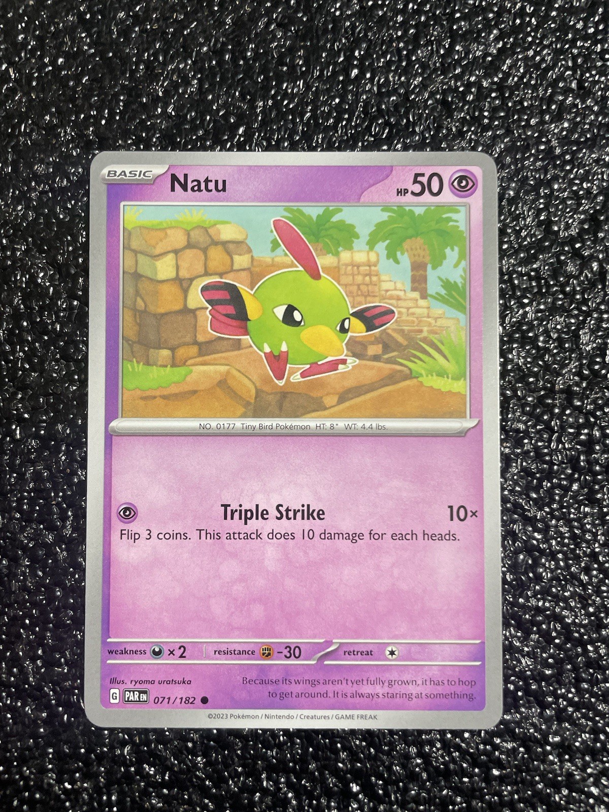 2023 Scarlet & Violet Series - Paradox Rift Natu #71 Common