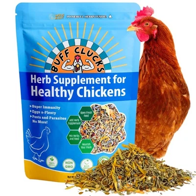 Buff Clucks Herb Supplement for Backyard Chickens Natural Chicken Treats Poultry
