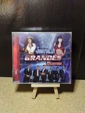 JUNTOS...GRANDES DUETOS -- VARIOS ARTISTAS (2005 CD)