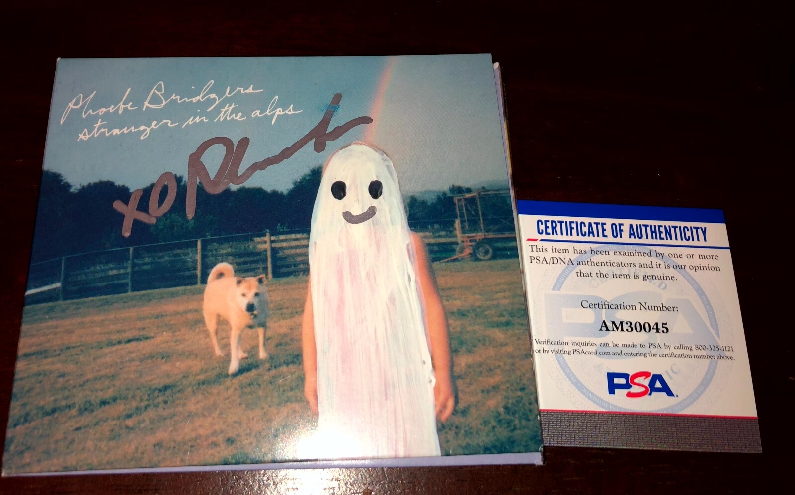 Phoebe Bridgers Stranger In The Alps Signed Boygenius CD Cover PSA E4 eBay