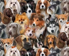Animal Fabric - Dog Breeds Packed 1314 - Elizabeth's Studio YARD