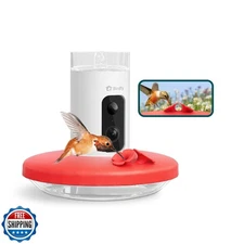 Birdfy Hummingbird Feeder with Camera, Auto Record Bird Video, In