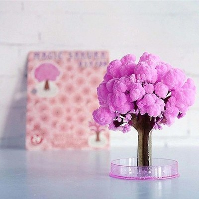 Mini Magic Sakura Tree Crystal Growing Cherry Blossom Paper DIY Kit Decor Gift