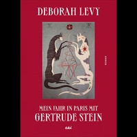 Mein Jahr In Paris Mit Gertrude Stein: Roman Deborah Levy