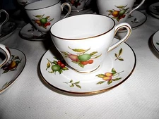 SPODE BLENHHEIM Y7695 Cups and Saucers (12 Sets) - England - Excellent 