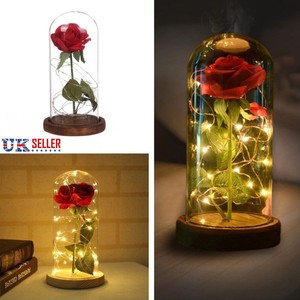 Beauty And The Beast Enchanted Rose Glass Dome Led Lighted Wedding
