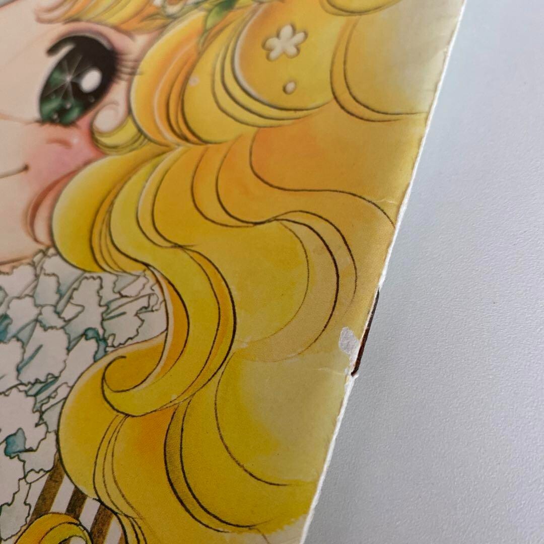 Candy Candy Illustrations Art Book Illustrated by Yumiko