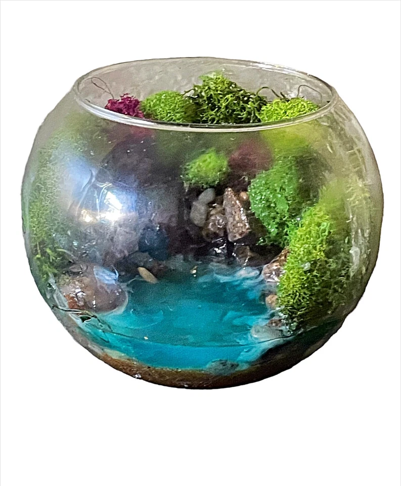 planta terrario cristal Foto 2 de 3