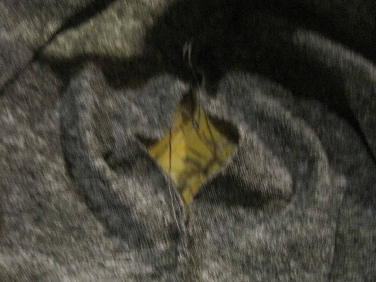 Picture 5 of 5