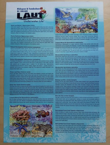 2012 Malaysia Underwater Life 4v Stamp & MS on 2 FDC (Melaka Cachet) - Picture 4 of 4
