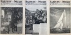 1886 Harper's Weekly Jan. 16-Dec. 4  Pres. Cleveland Marries & Pres. Arthur Dies — photo 7