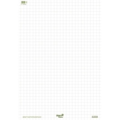 Staufen Flipchartblock Green 608580020 68x99cm 20Bl. kariert
