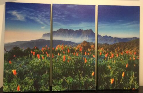 Blue Wall CANVAS Art 3 PIECE SET Spring In Thailand Flower Mountain Picture - 第 1/9 張圖片
