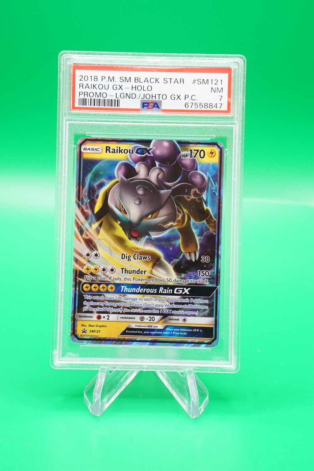 Raikou GX SM Black Star Promos, Pokémon