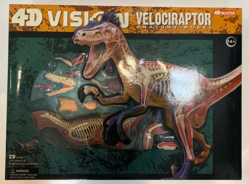 Velociraptor Dinosaur 4D Master Vision Anatomy Model 29 Parts 2009 Complete - Picture 1 of 4