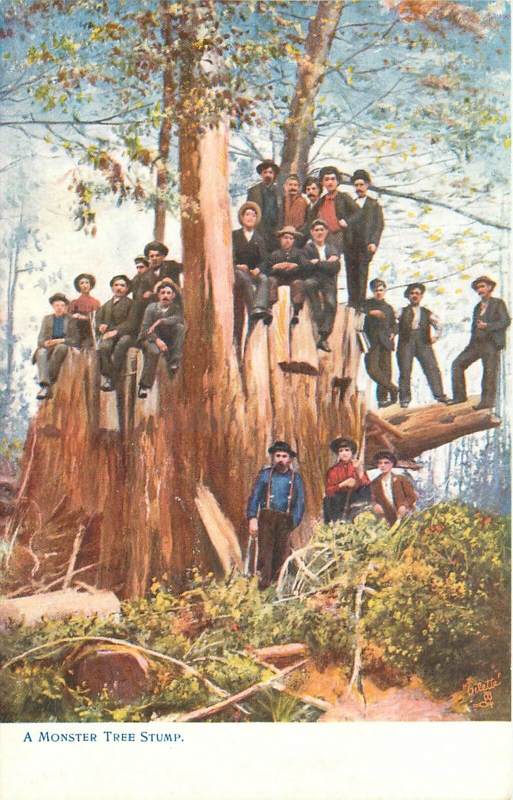 C1910 California Trabajadores de la tala Monstruo Árbol Stump Tuck Postal 25-4072