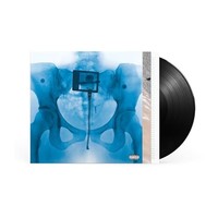 Lorde - Virgin - Vinyl Record Standard - F99Z