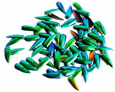 1000 Mini Tamaño Verde Azul Amarillento Elytra Joya Escarabajo Alas Arte Joyería Diseño