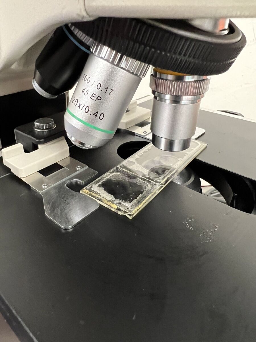 Nikon Labophot 2 Trinocular Microscope with 5MP Camera | eBay Nikon Labophot 2 Trinocular Microscope with 5MP Camera | eBay